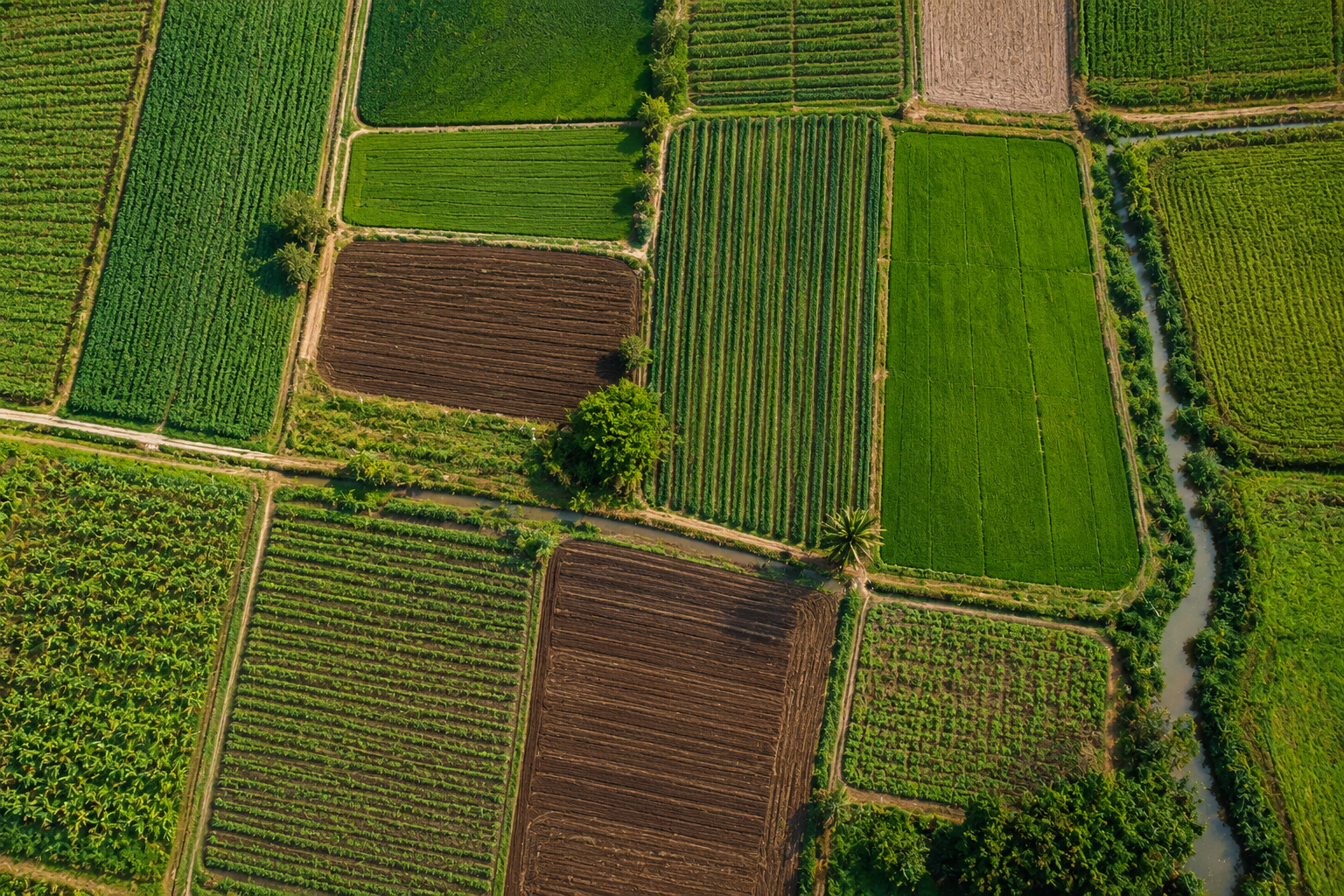 ASEAN Agribusiness