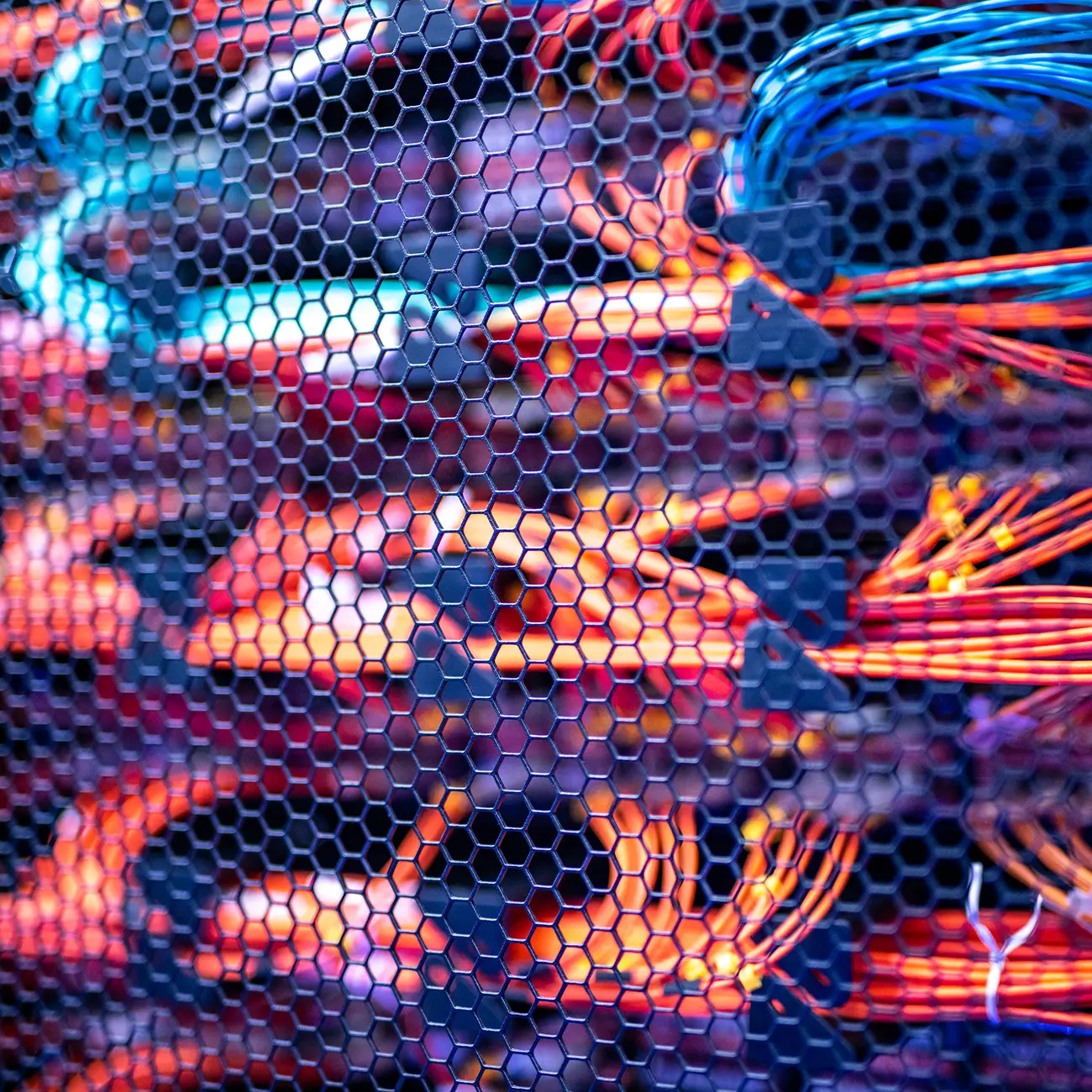 Fiber optic cables connected in a server rack.