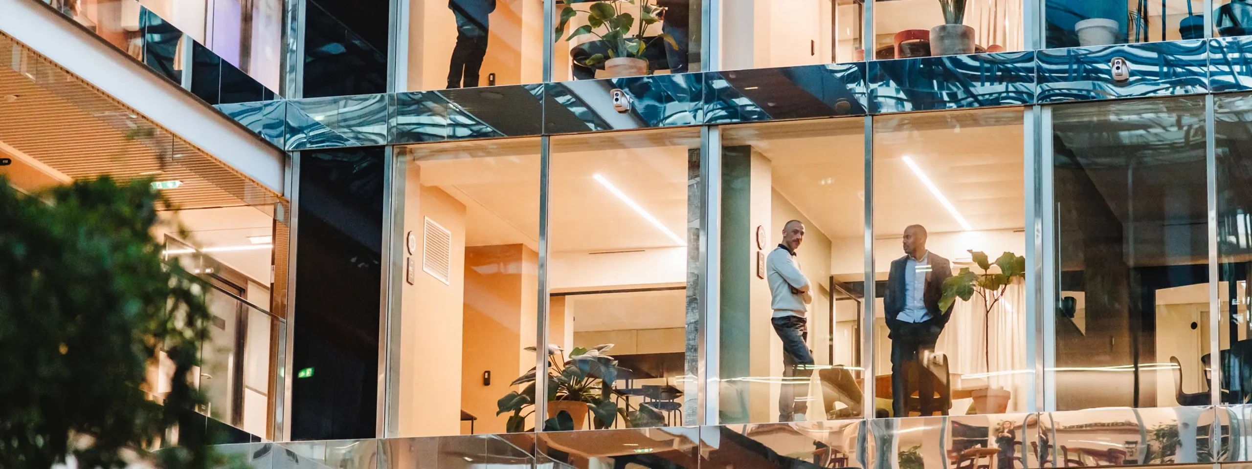 Modern office building with large glass windows showing people conversing inside. Indoor plants and warm lighting create a welcoming atmosphere.