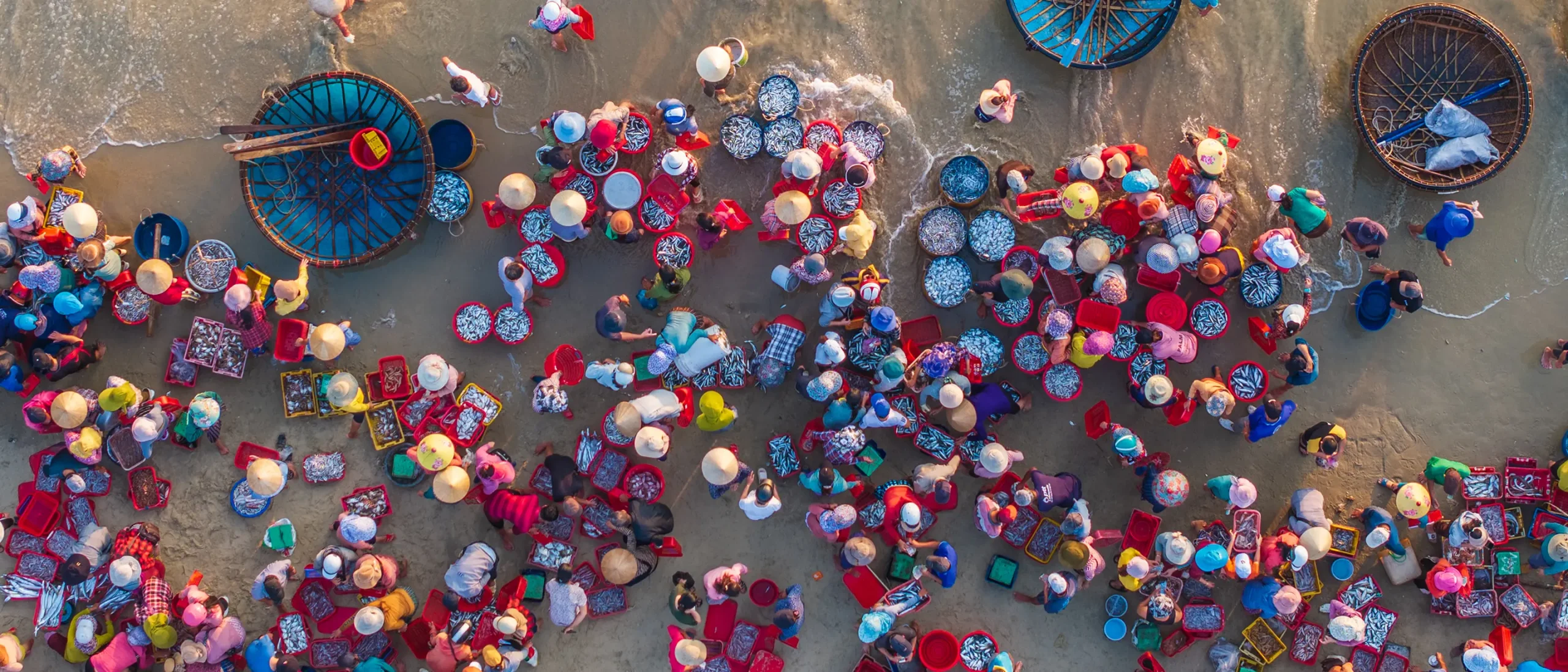 Aerial view of a vibrant fish market on a beach. Numerous people in colorful clothing and hats gather around baskets filled with fish, conveying a lively atmosphere.
